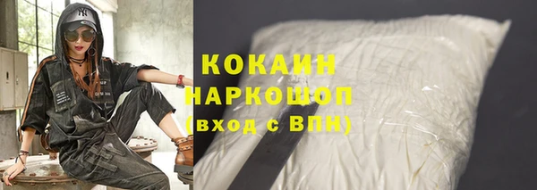 тгк Бикин
