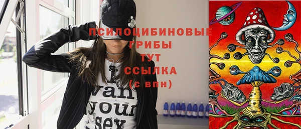 тгк Бикин