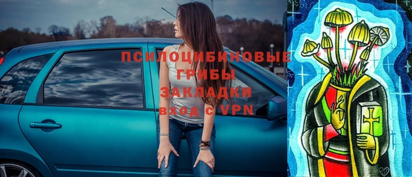 тгк Бикин