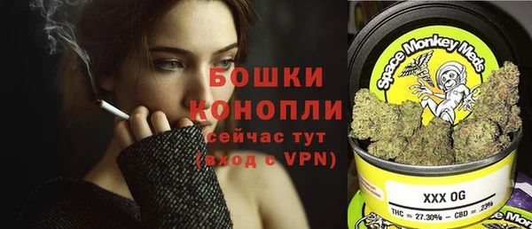 тгк Бикин