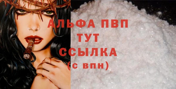 тгк Бикин