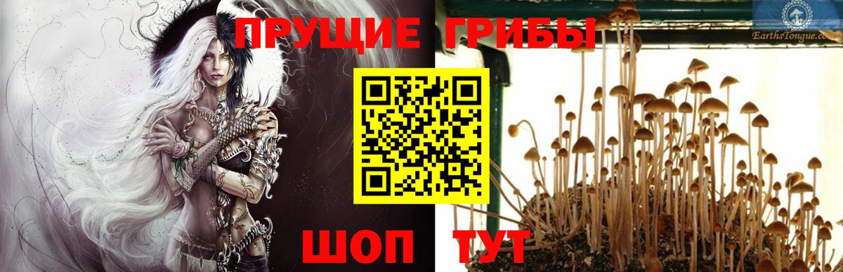 даркнет сайт  Великие Луки  Псилоцибиновые грибы MAGIC MUSHROOMS 